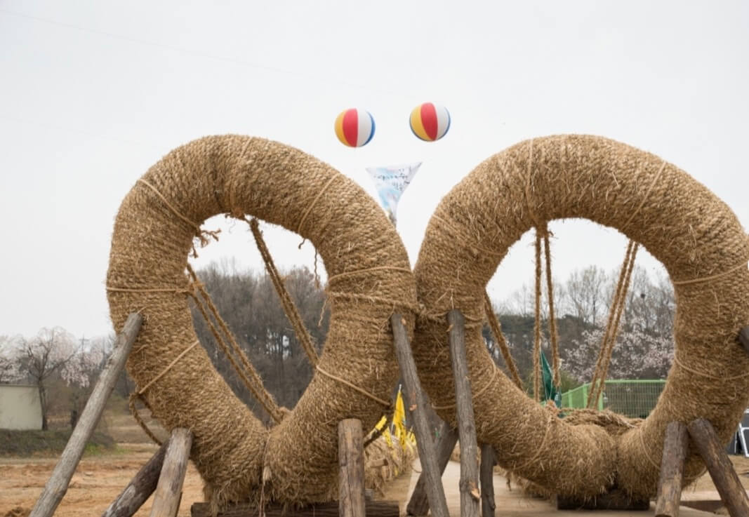 기지시-줄다리기-축제-사진