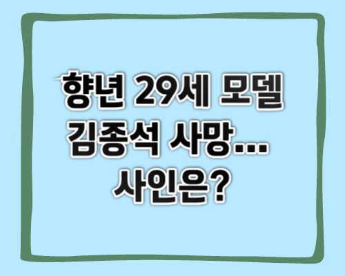 향년29세 모델 김종석 사망 원인 썸네일