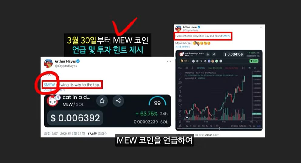 급등할 솔라나 밈코인 캣인어독스월드(MEW), 도지코인, 플로키, 벤도그, 마더, 그레이머, 워젝, 네버, 두코, 봉크