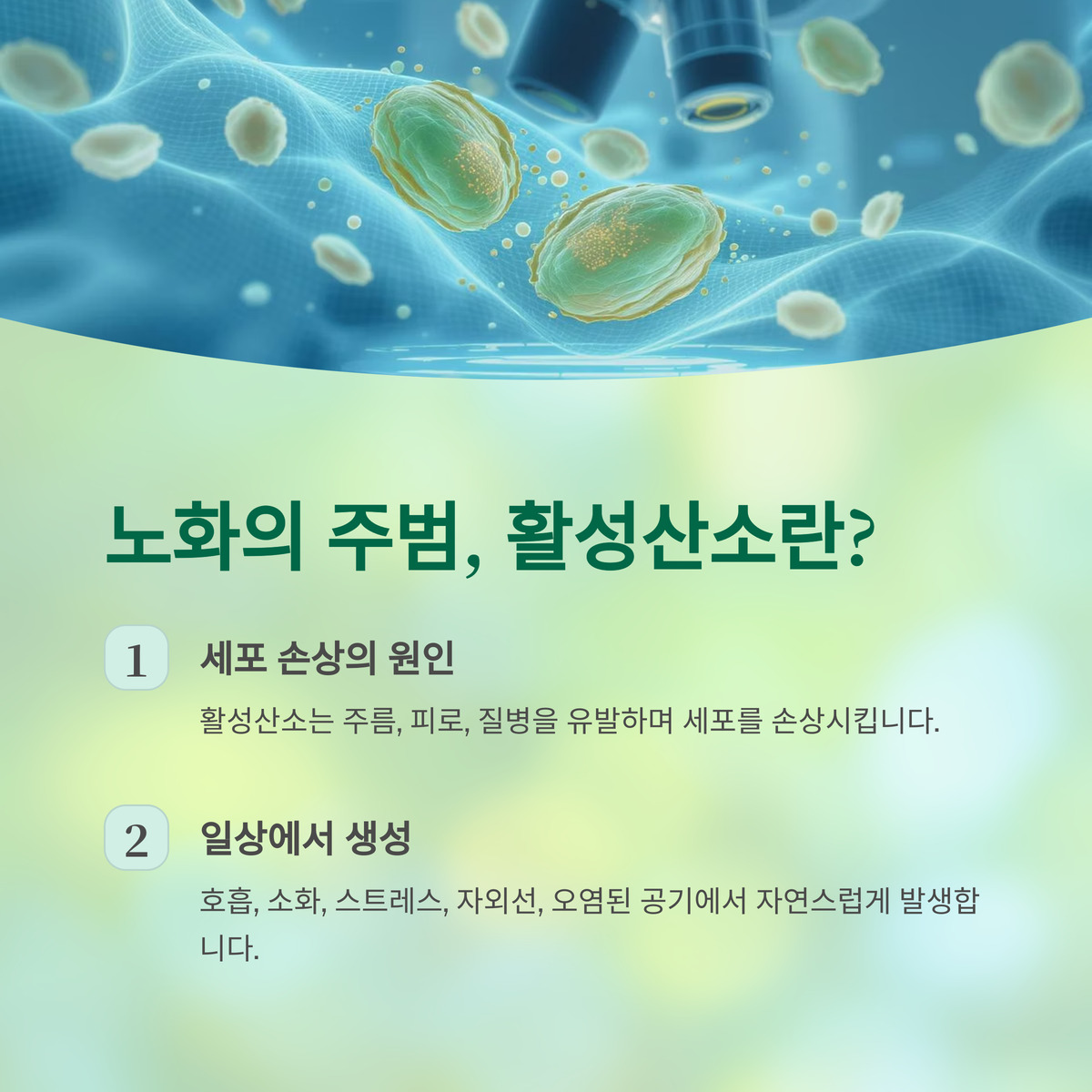 노화의 주범, 활성산소란 뭘까?