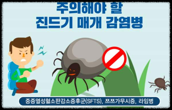 가을철 진드기 감염병 주의보 - 안전한 산행을 위한 팁