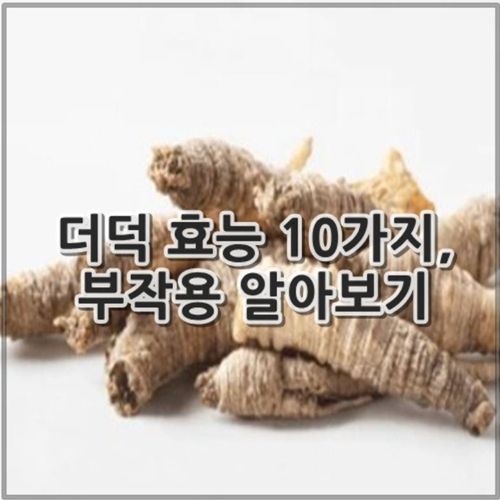 더덕 효능 10가지, 부작용 알아보기