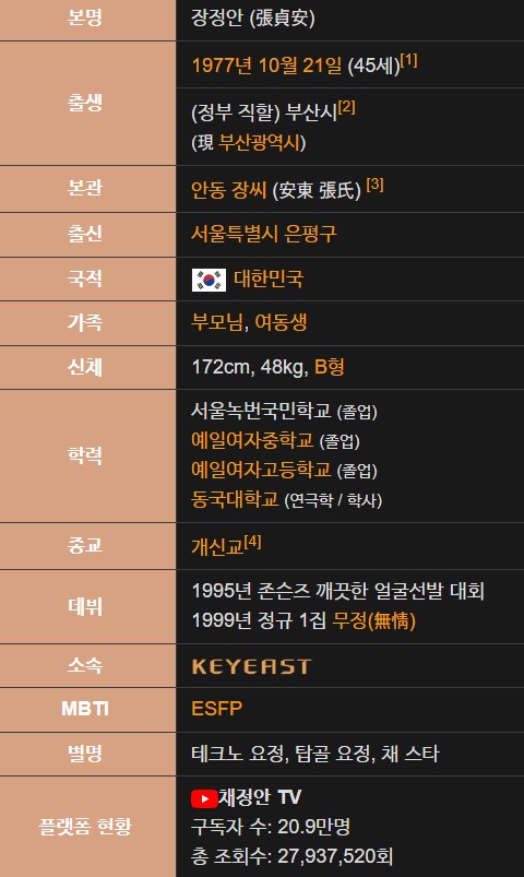 채정안 나이 결혼 프로필