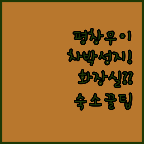 평창 무이계곡 차박 명소 화장실 위치..