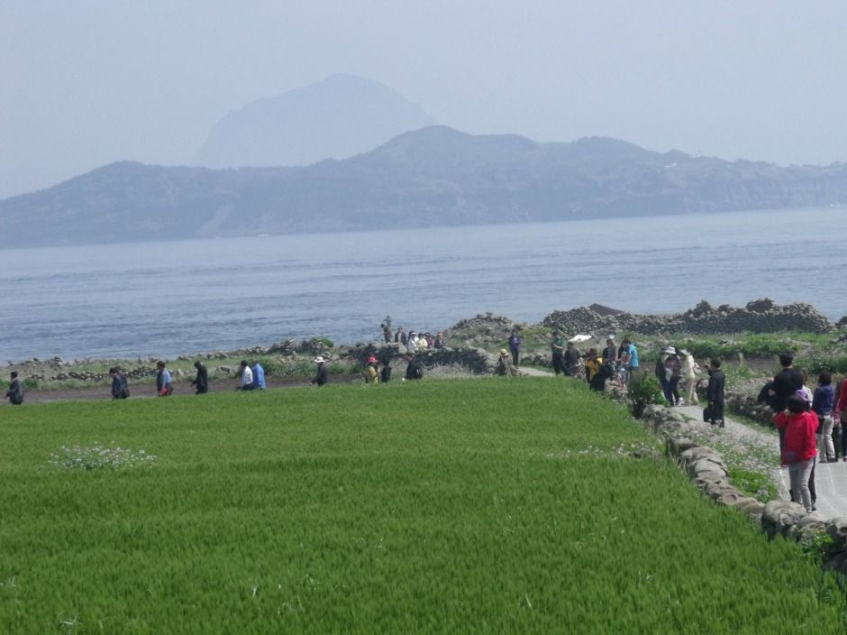 4월 봄 제주 가볼만한곳 명소 TOP 05 데이트 주말 나들이 추천