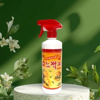 화분 깍지벌레 제거 면봉닦기 알코올희석 분무 재발방지 체크_11