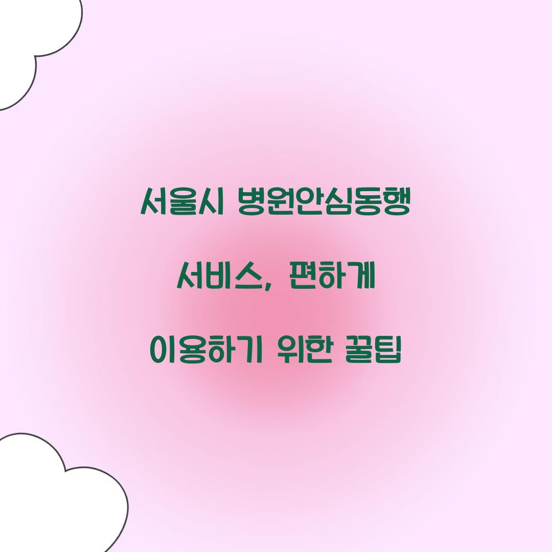서울시 병원안심동행 서비스