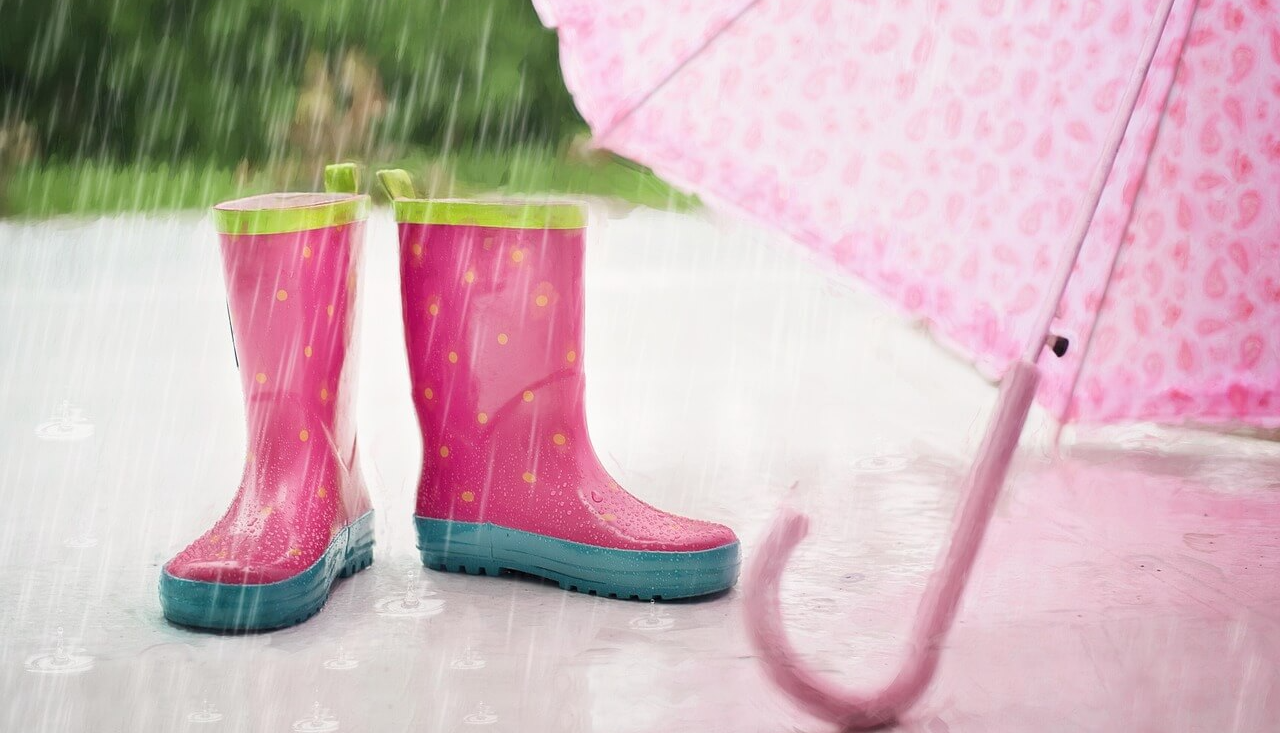 곰팡이 제거제 TOP3 비교 (천연, 화학, 가격)