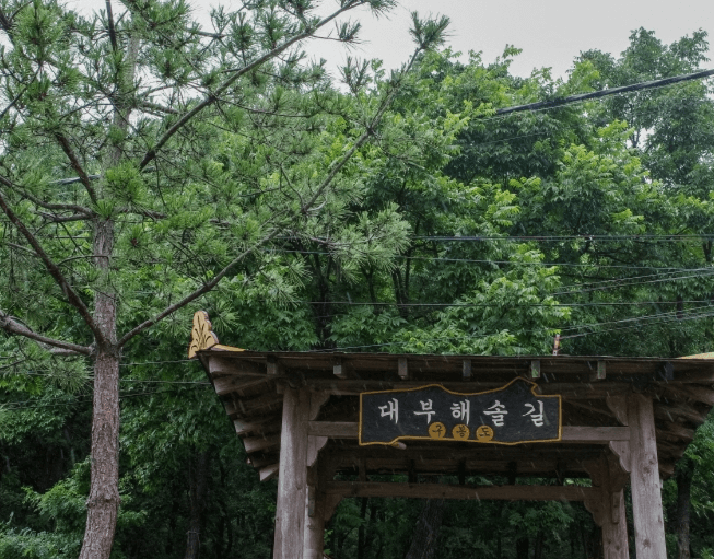 대부도 가볼만한곳 베스트10