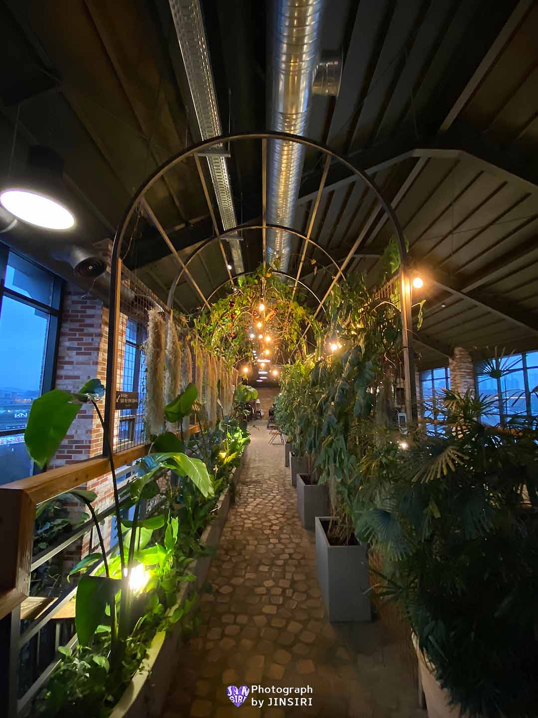 ๊นํฌ ์์ด ๋ฒ ์ด์ปค๋ฆฌ ์๋ฌผ์ ๋ํ ์นดํ ์์ธ๊ทผ๊ต ๋๋ผ์ด๋ธ ๊ธ๋ฆฐ๊ณต์