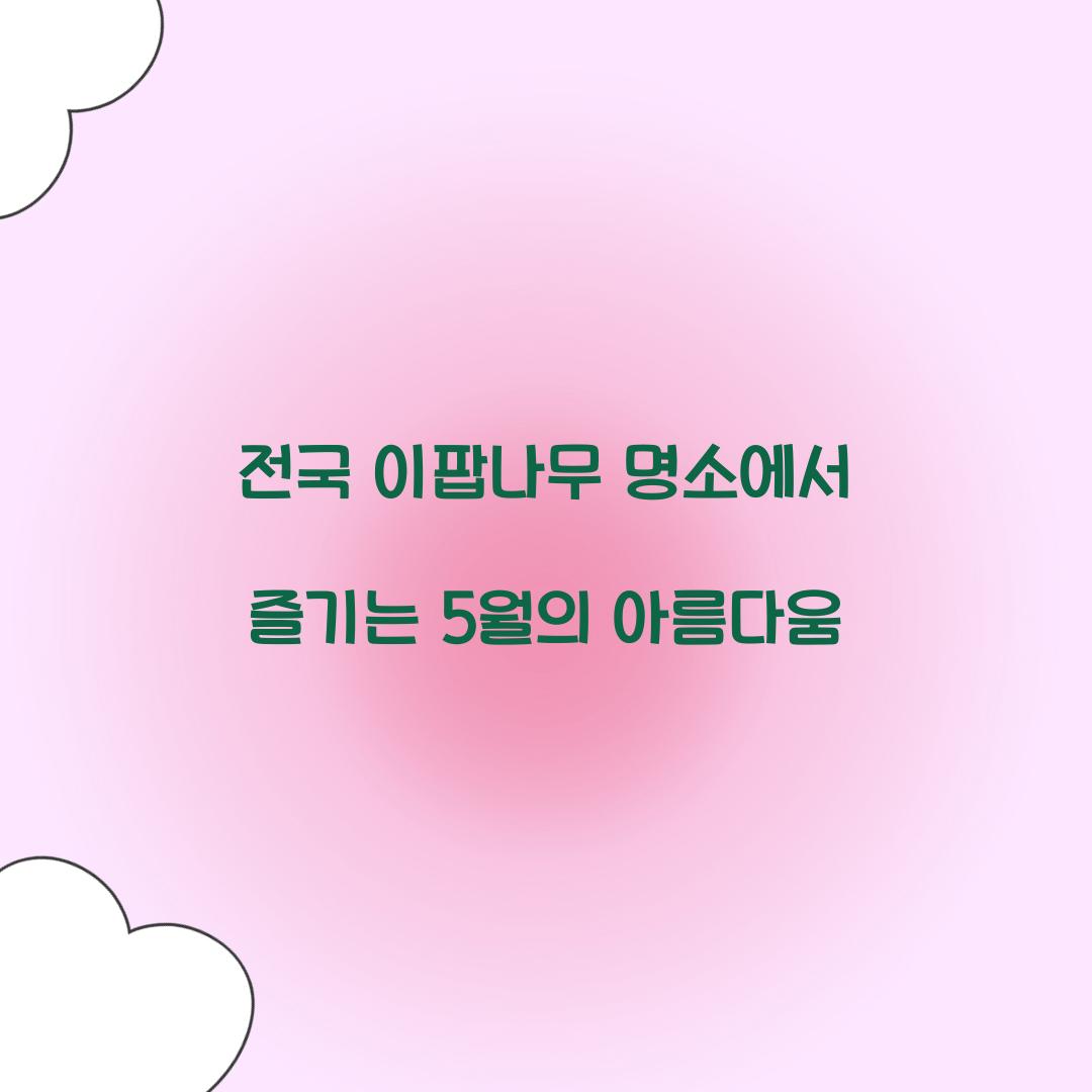 전국 이팝나무 명소