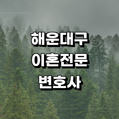 부산 해운대구 이혼 변호사