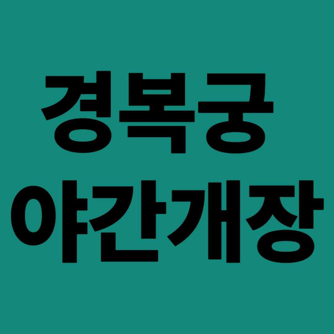 경복궁 야간개장