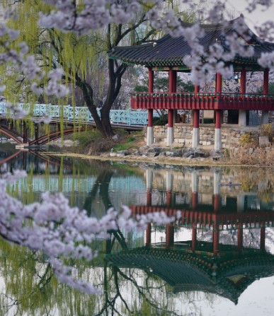 자연속 힐링 관련 이미지