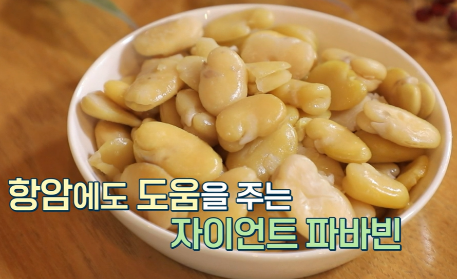 자이언트 파바빈 효능