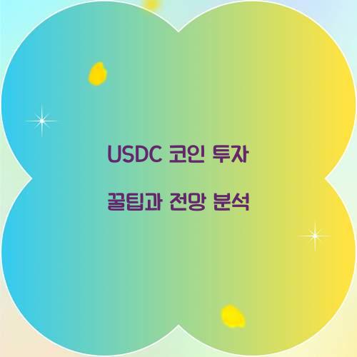 USDC 코인
