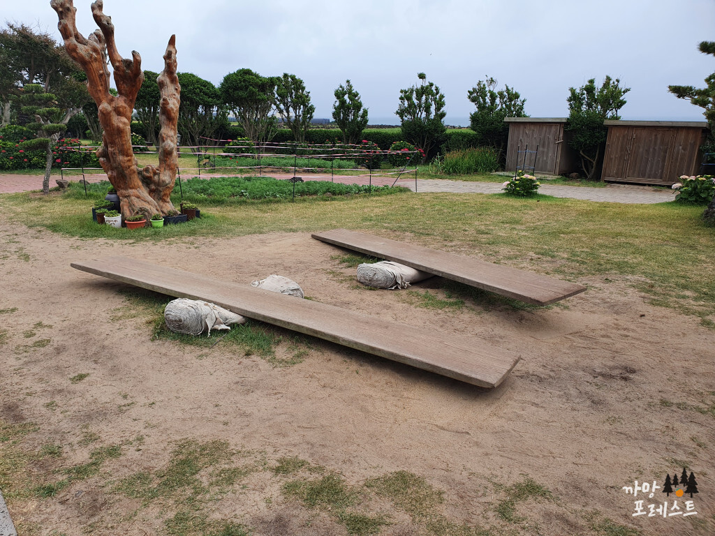 미쁜 제과 널뛰기