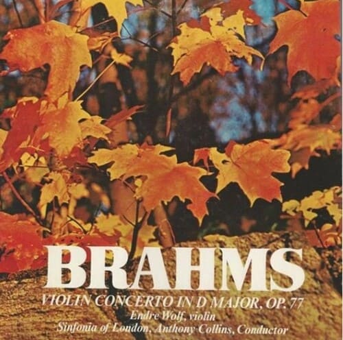 브람스 바이올린 op.77