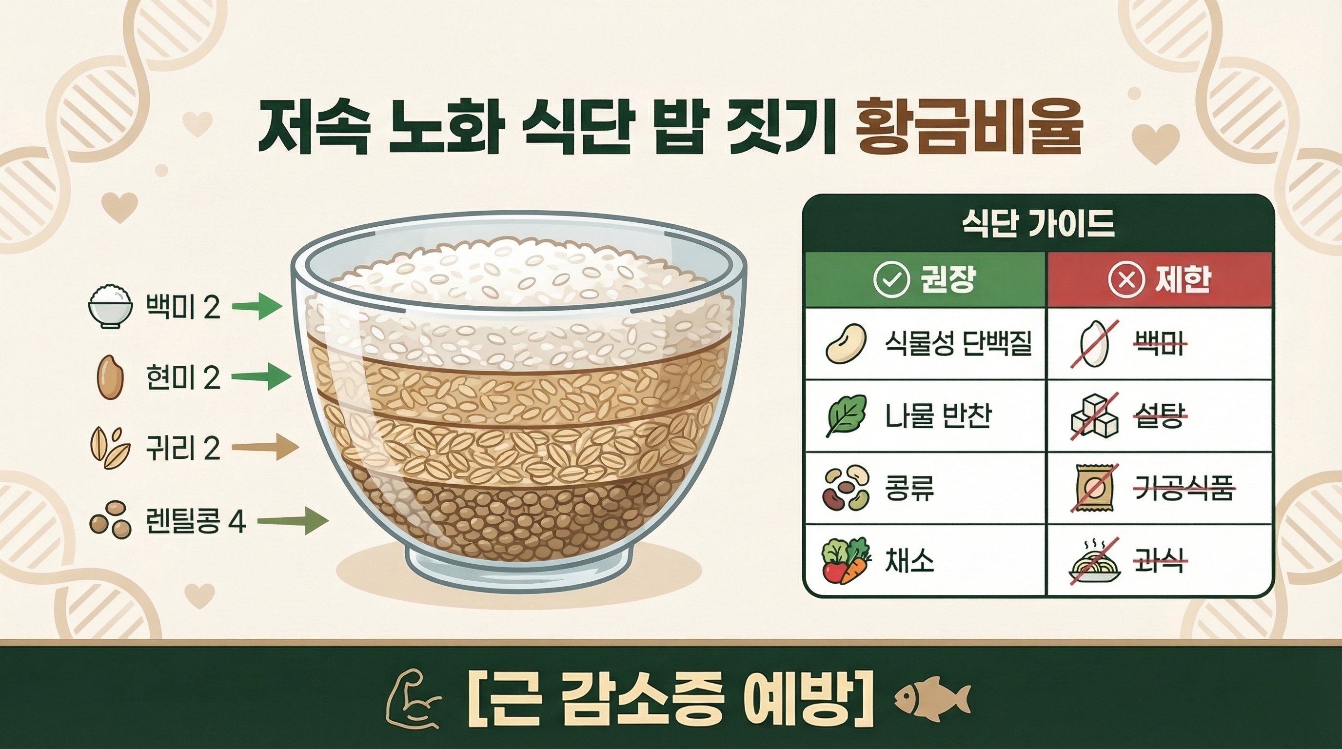 40대 건강 저속노화 밥짓기 곡물 비율 및 권장 식단 정보 인포그래픽
