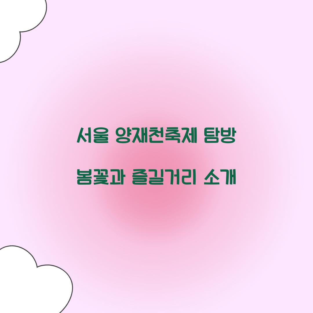 서울 양재천축제