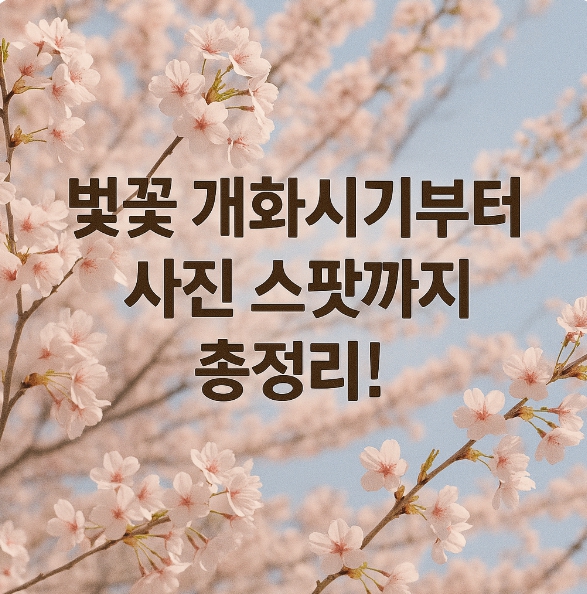 2025 벚꽃 축제 일정과 전국 명소 총정리