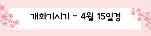 봄꽃 여행지