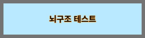 뇌구조테스트
