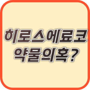 히로스에료코 체포