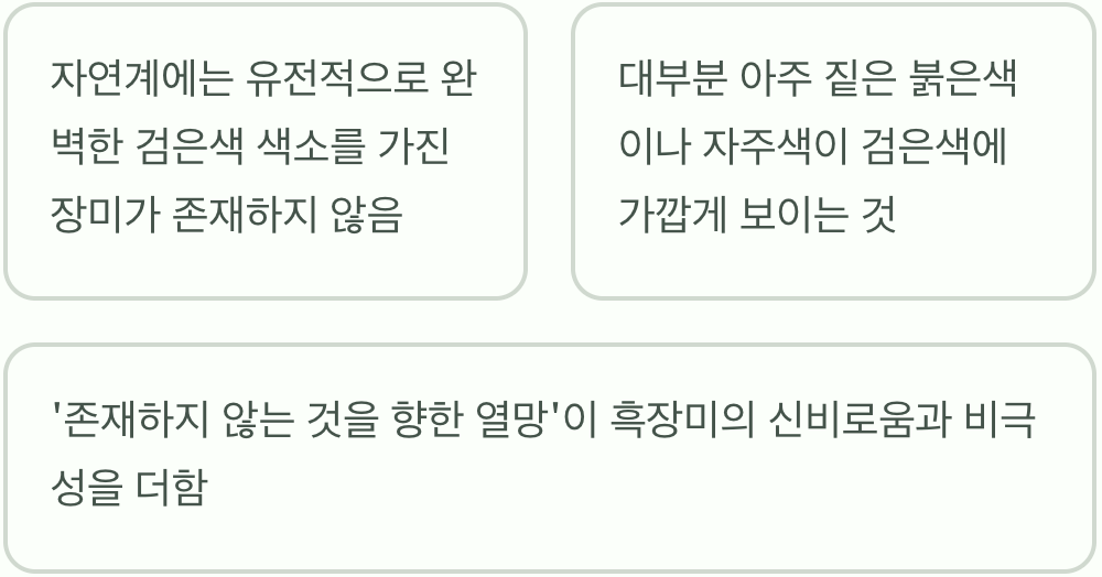 세상에 '완벽한 검은색'은 없다