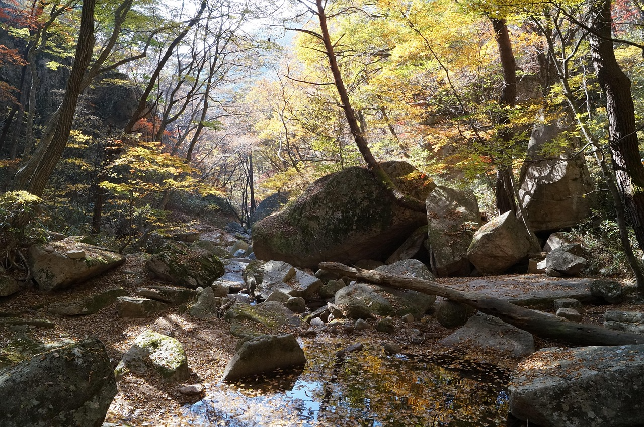 2026년 세종 부동산 정보 관련 사진