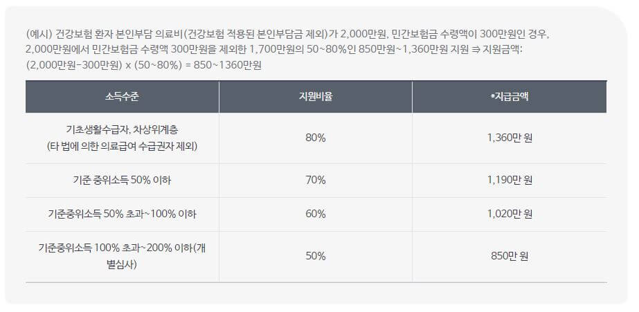 재난적의료비