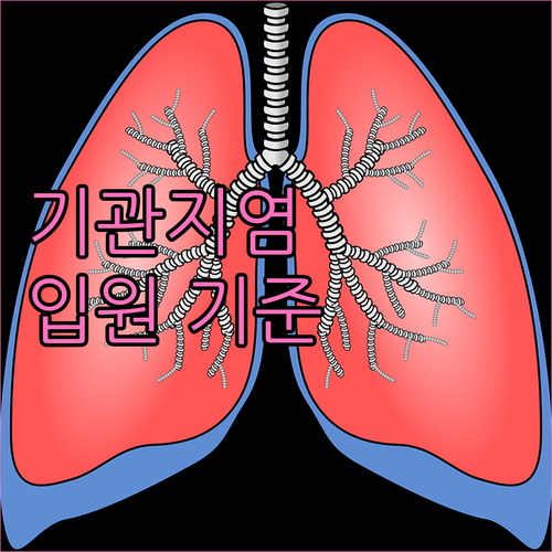 기관지염 입원 기준: 영유아, 고령자..
