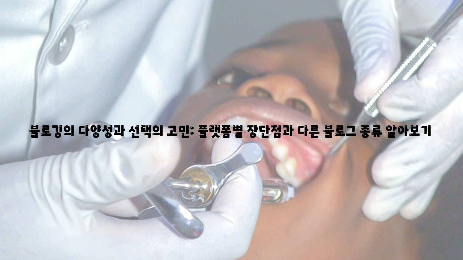 블로깅, 다양성, 선택 고민