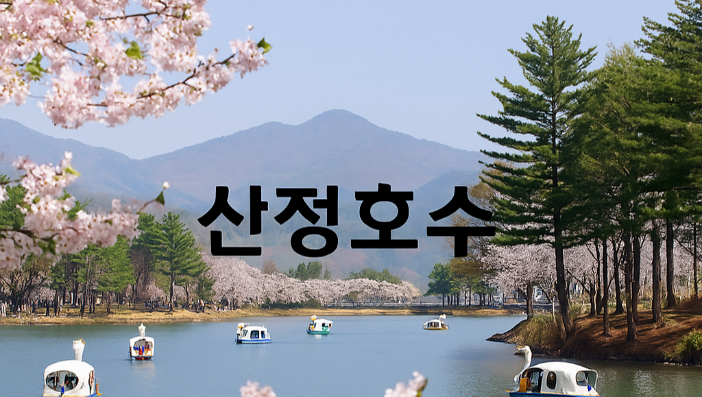 [반려동물 여행]강아지랑 함께 어디 갈까? 반려견과 떠나는 국내 동반 여행지 베스트 5