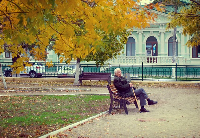 2025 고령자 복지 정책 관련 사진