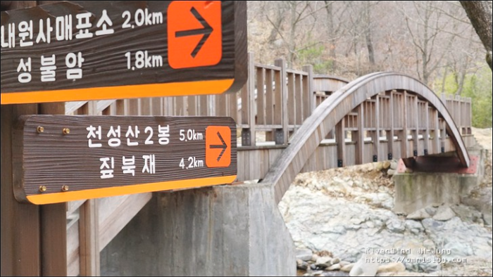 천성산 야생화 위치