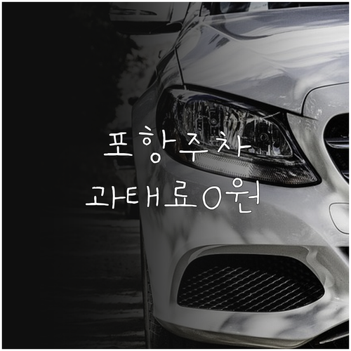 포항 주정차 단속 알림 서비스 신청 ..