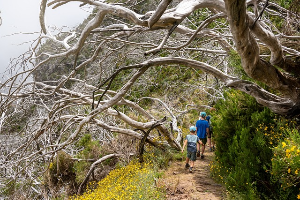 주거급여 지원자격