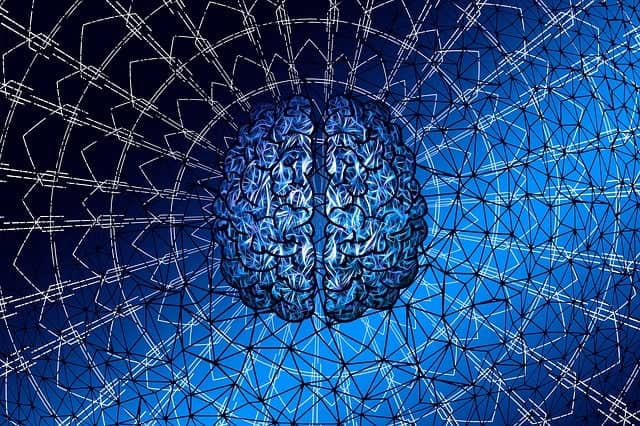 IQ와 EQ의 뇌과학: 지능과 감정의 차이는 어디서 오는가