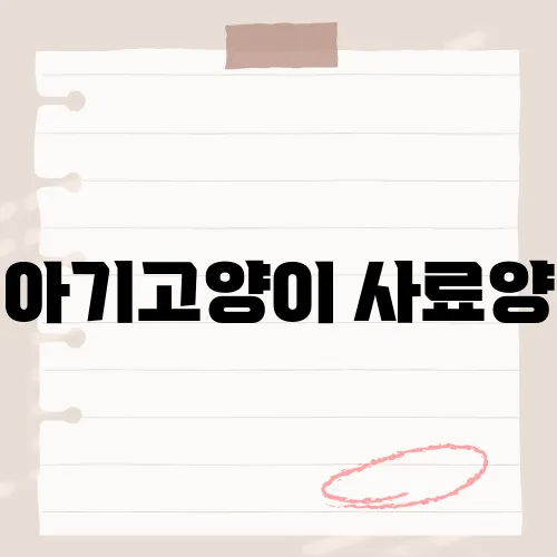 아기고양이 사료양, 의외의 급여 타이밍?