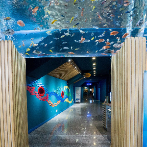 다누리아쿠아리움