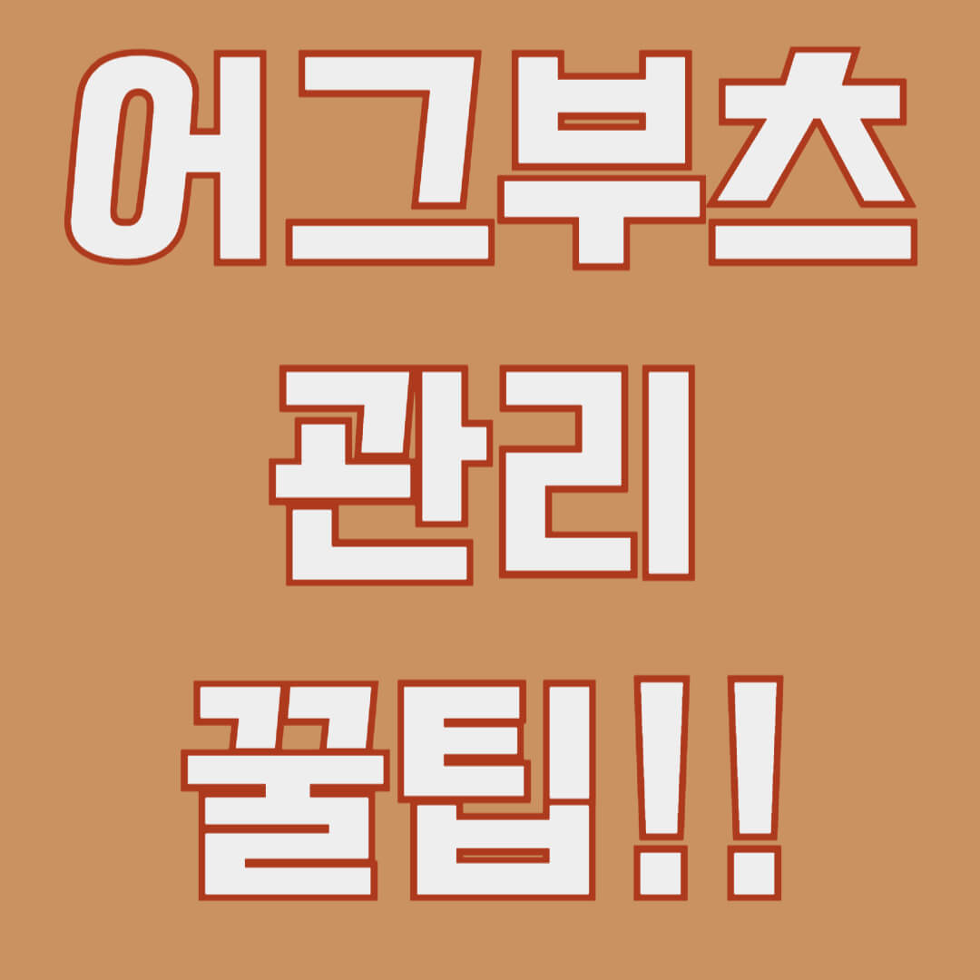 어그부츠 관리 꿀팁.