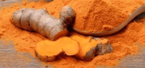 폐건강에 좋은음식