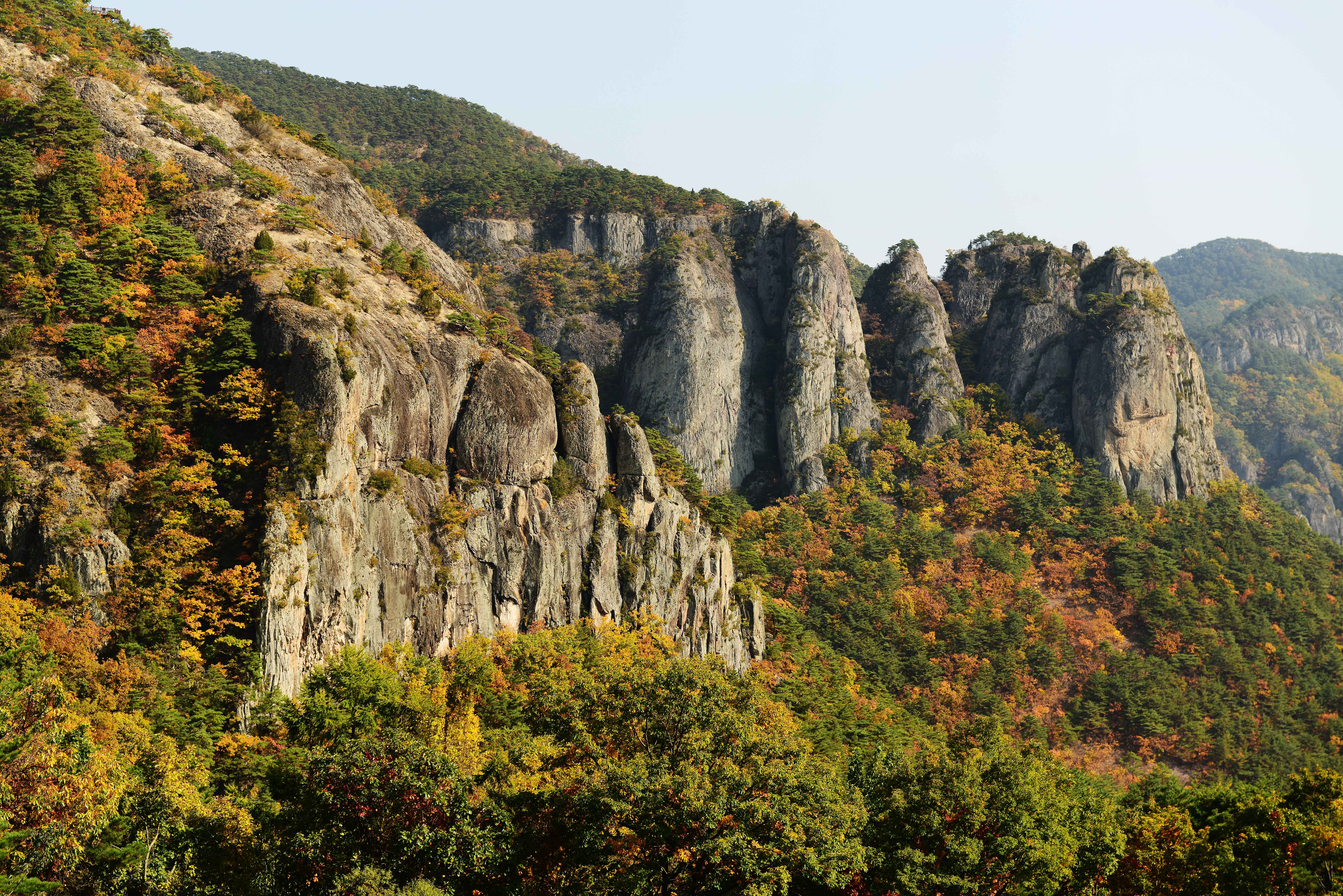 주왕산 단풍