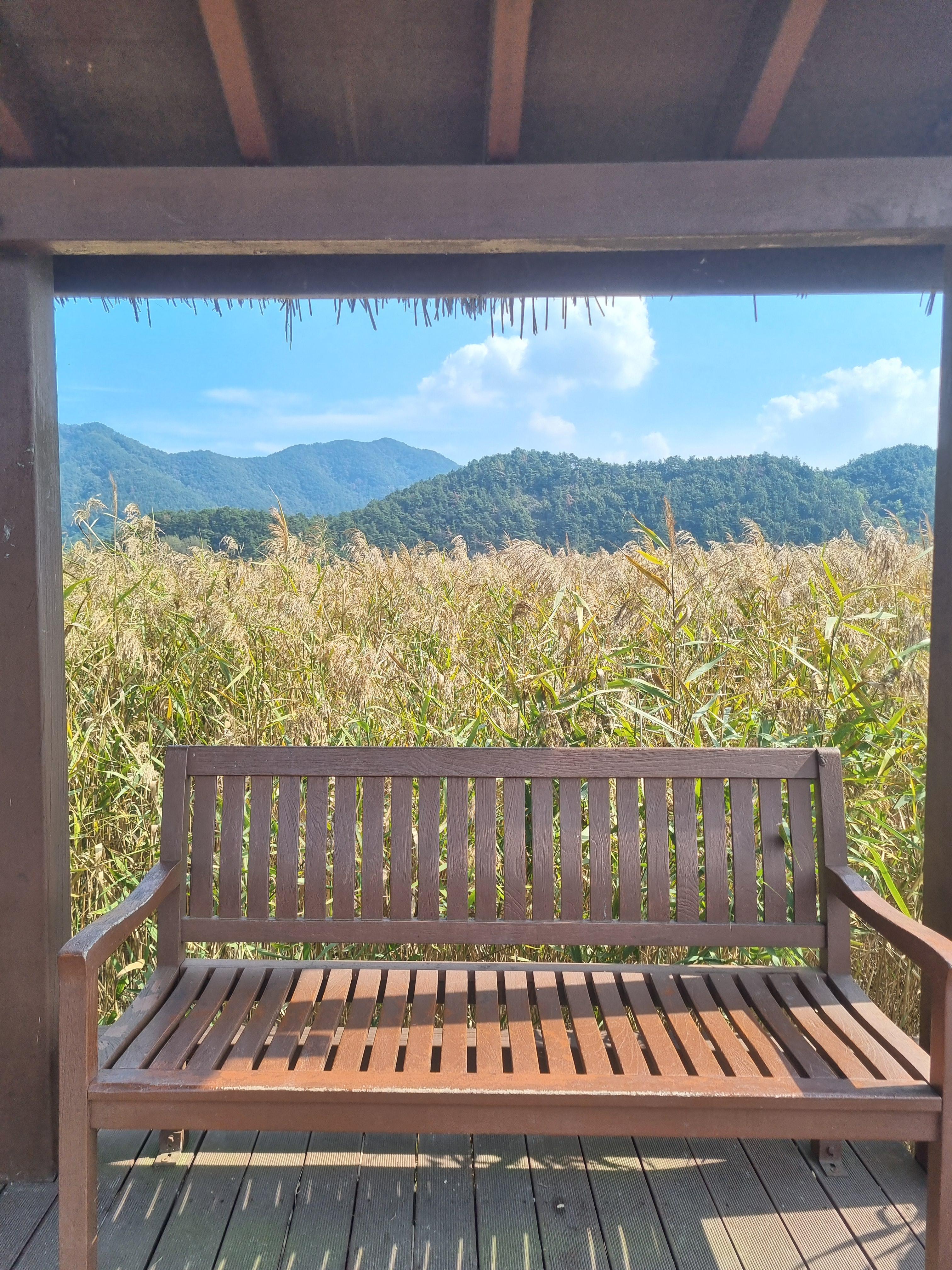 순천만습지
