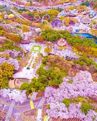 대구 이월드 벚꽃축제