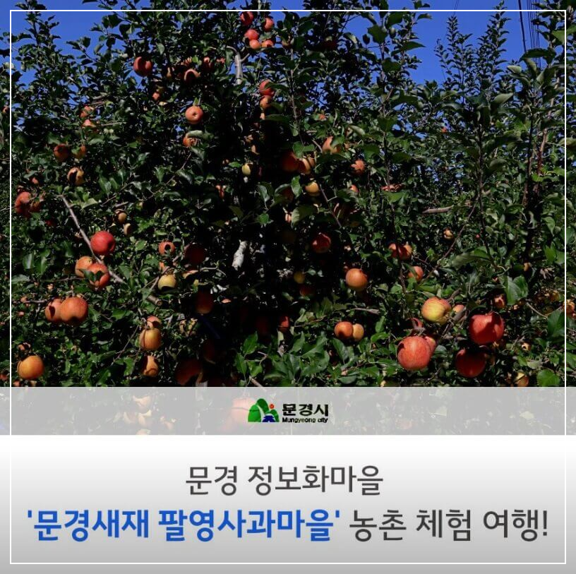 문경 가볼만한곳 베스트10 문경새재 팔영사과마을