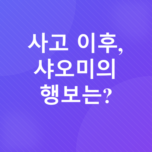 샤오미전기차사고_4