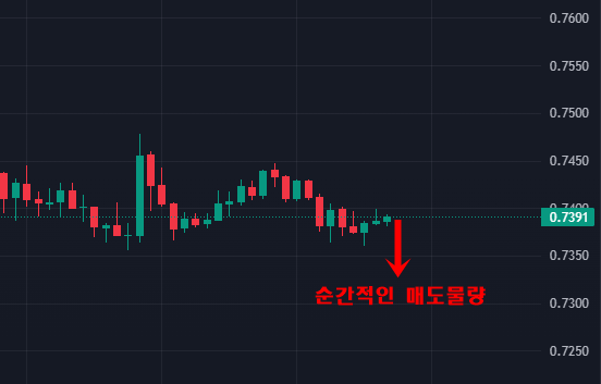 청산되면서 추가하락 하는 방향을 아래쪽으로 나타내는 차트