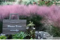 화담숲 사진 명소 시간대별 촬영 완벽 가이드